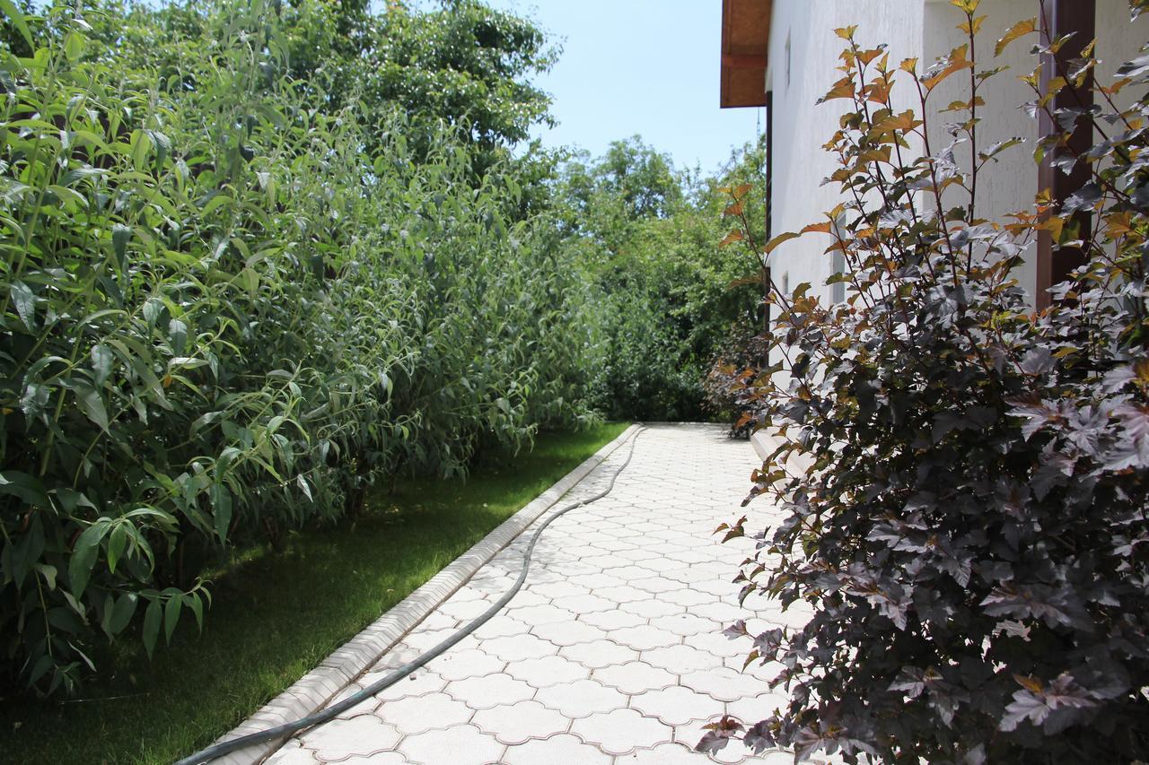 Guest House Leto Dolinka Εξωτερικό φωτογραφία
