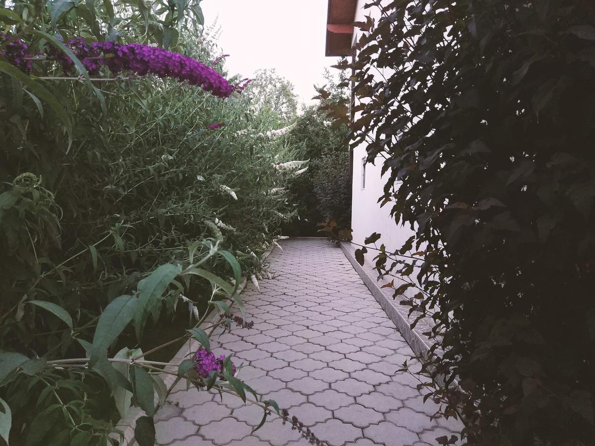 Guest House Leto Dolinka Εξωτερικό φωτογραφία